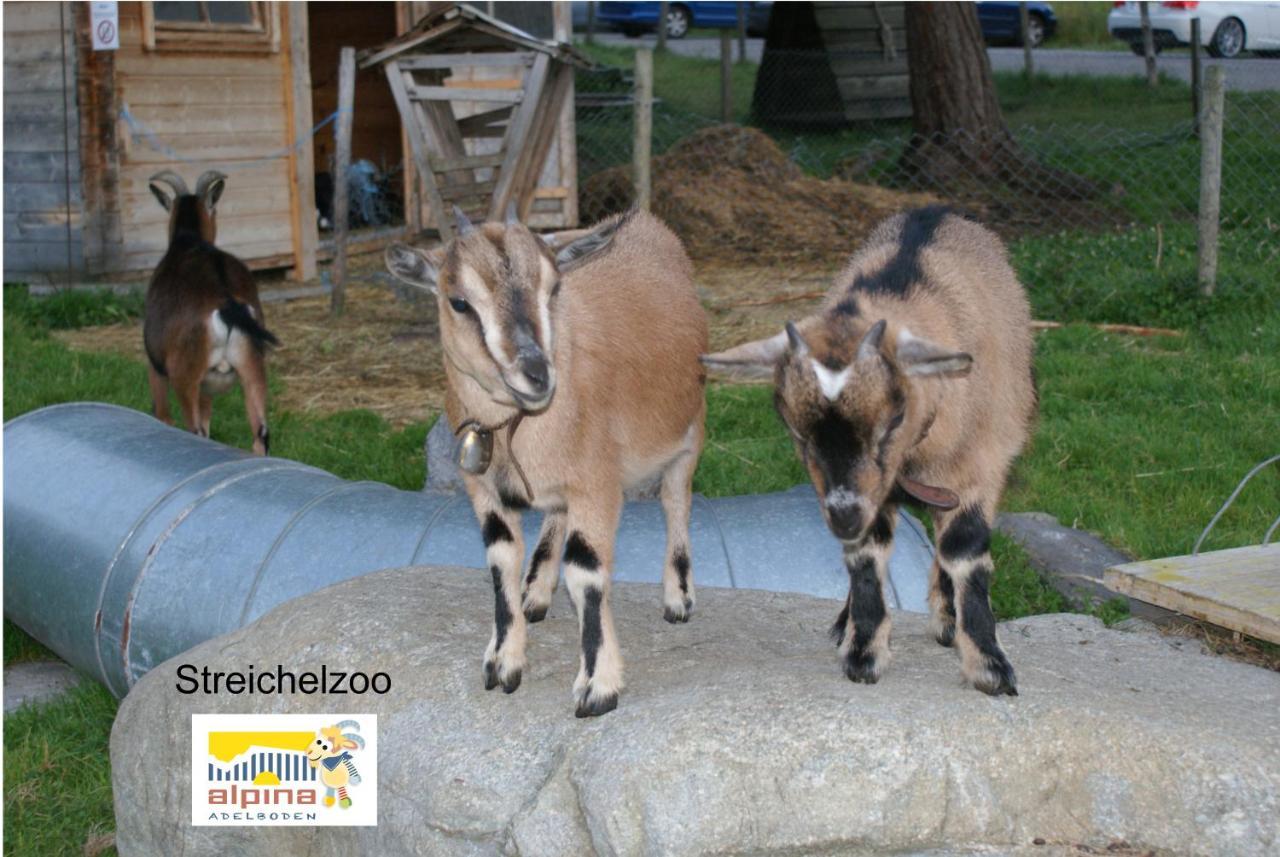 Ferien- Und Familienhotel Alpina Adelboden Exterior foto