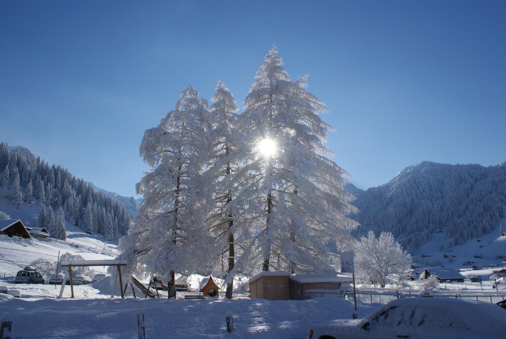 Ferien- Und Familienhotel Alpina Adelboden Exterior foto